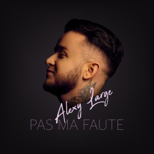 Pas Ma Faute (Single)